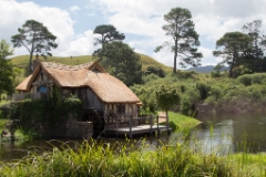 Wellington nach Auckland